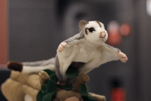 Australian Sugar Glider Stuffed Plush Toy