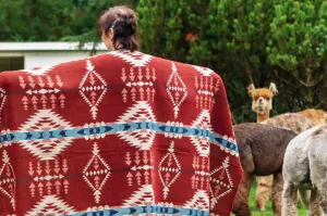 Del Mar - Rojo - Alpaca Wool Blanket - Enchanted Farms