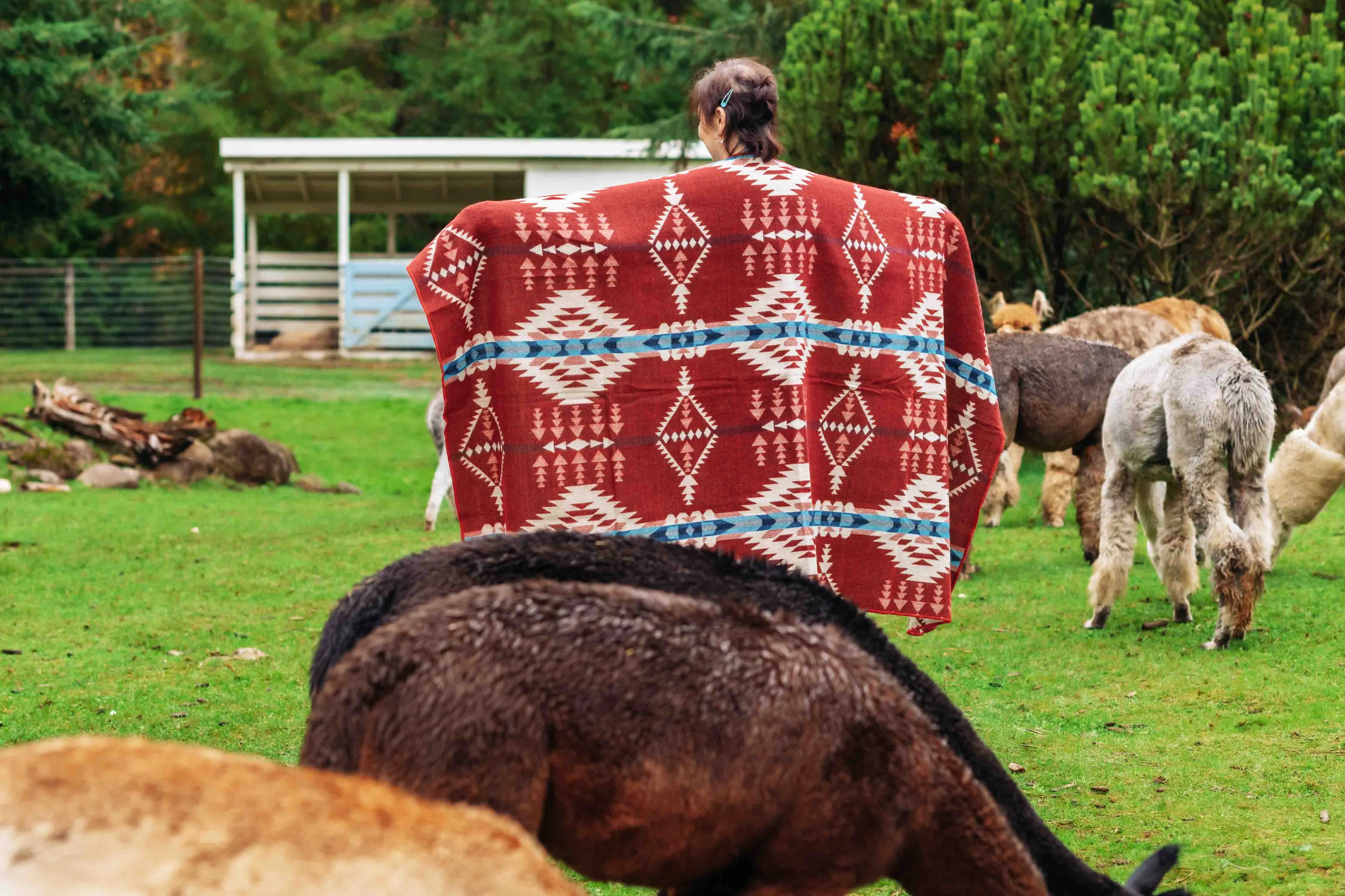 Del Mar - Rojo - Alpaca Wool Blanket - Enchanted Farms