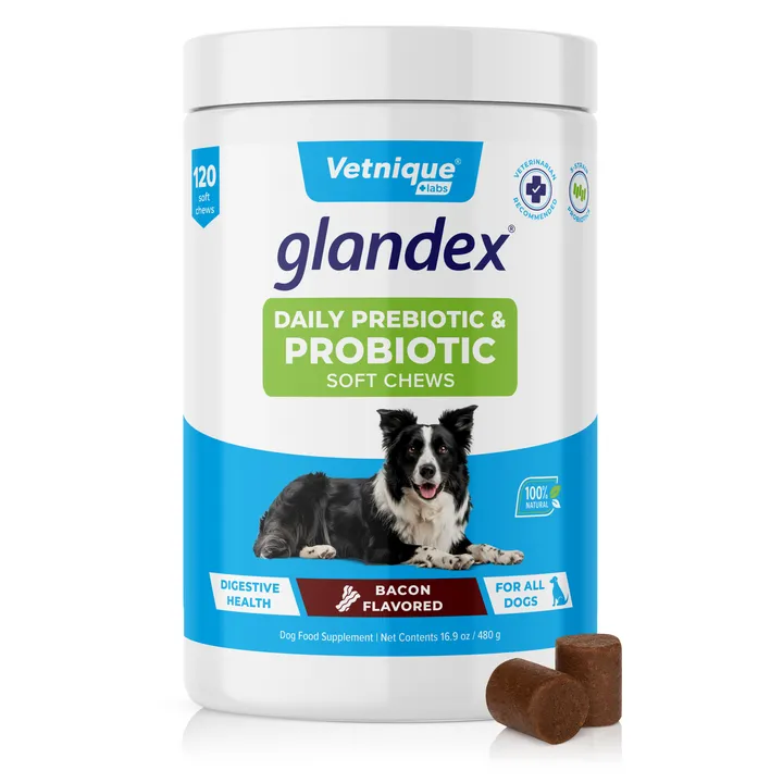 Glandex® Daily Prebiotic & Probiotic Soft Chews