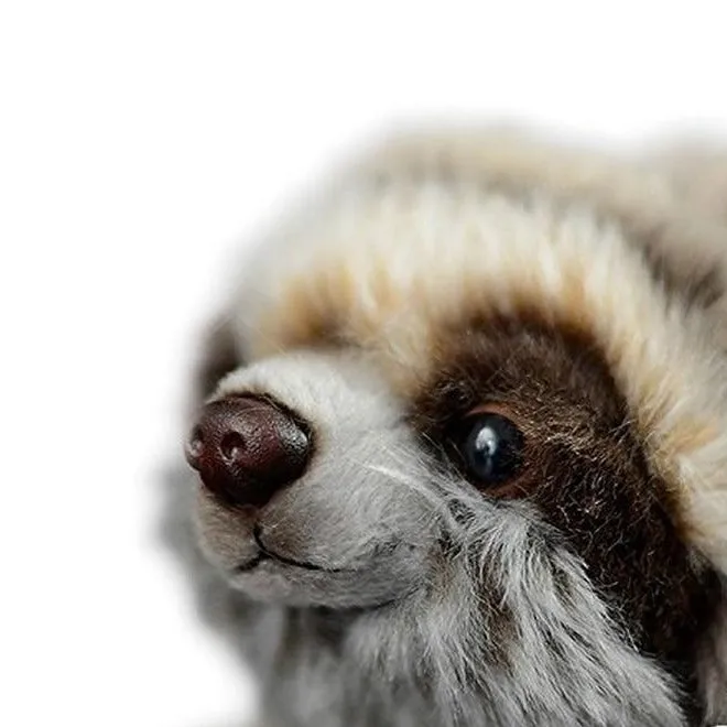 Sloth Plush Toy