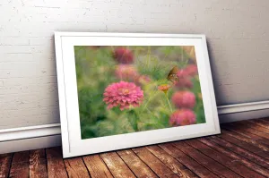 Soft Landing (Unframed Print)