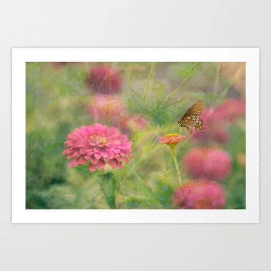 Soft Landing (Unframed Print)